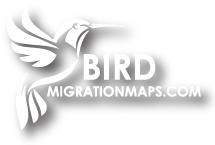 Bird Migration Maps