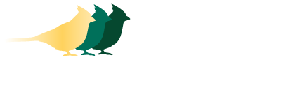 Bird Man Mel