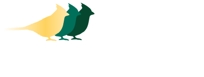Bird Man Mel Bird Man Mel